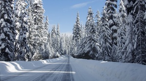 Road Snow Usa Forest Tree 3000x2000 Wallpaper
