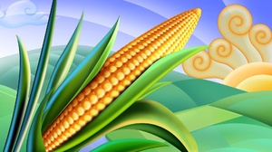 Food Corn 1920x1200 Wallpaper