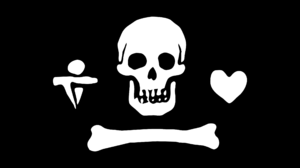 Pirates Flag Skull And Bones Skull 2560x1707 Wallpaper