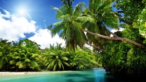 Lagoon Palm Tree Tropics 3840x2160 Wallpaper