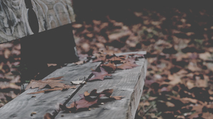 Annie Spratt Bench Foliage Leaves Fall Fallen Leaves 4000x2250 Wallpaper