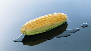 Food Corn 1920x1080 Wallpaper