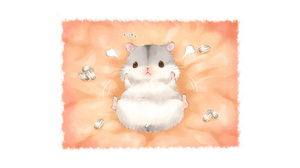 Cute Hamster 1920x1280 Wallpaper