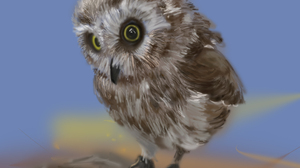Owl Digital Art Digital Painting Animals 2480x2480 Wallpaper