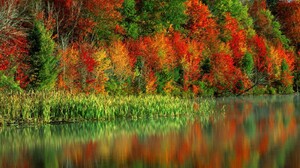 Colorful Forest Leaf Nature Reflection Scenic Water 1600x1200 Wallpaper
