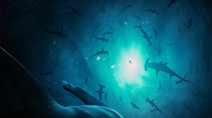 Hammerhead Shark Underwater 3000x1705 wallpaper