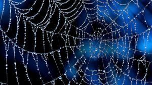 Dew Spider Web Water Drop 4603x3067 Wallpaper