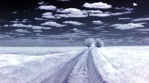 Infrared Trees Clouds Landscape Blue White Nature 4478x2663 wallpaper