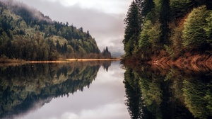 Fog Forest Lake Reflection 2048x1366 Wallpaper