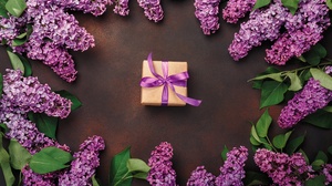 Flower Lilac Purple Flower 5601x3734 Wallpaper