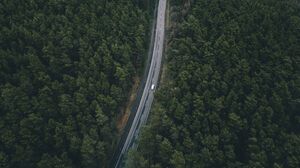 Road Green Nature Landscape Aerial View 3992x2992 Wallpaper