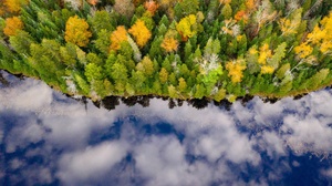 Cloud Fall Forest Reflection River 3000x1999 Wallpaper