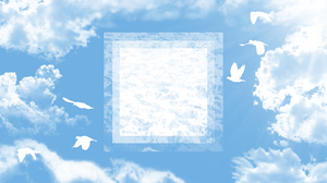 Bird Cloud Water 1920x1080 Wallpaper