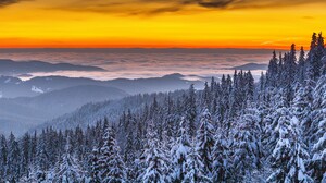 Landscape Winter Forest Clouds Overcast Orange Sky Yellow Sky Sunrise Snow Sunset Hills Mist Trees 2960x1973 wallpaper