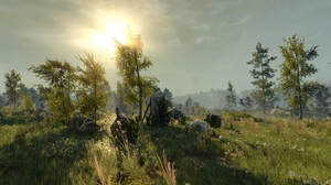 The Witcher 3 Wild Hunt Stones Forest Sunny 3840x2160 Wallpaper