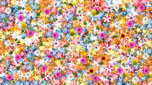 Artistic Flower 3840x2160 wallpaper