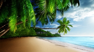 Nature Beach Palm Trees Plants Water Sand Leaves 3840x2160 Wallpaper