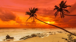 Beach Ocean Sunset Tropical 7680x4320 Wallpaper