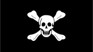 Pirates Flag Skull And Bones 2560x1920 Wallpaper