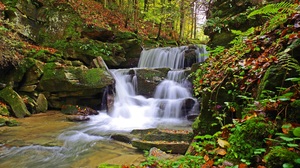 Poland Nature Moss Stones Forest Foliage Waterfall Still Life Rocks Leaves 3840x2160 Wallpaper