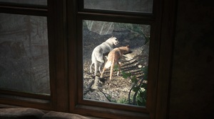The Last Of Us Naughty Dog PlayStation Playstation 5 Dog Video Game Art Screen Shot Video Games CGi  3840x2160 Wallpaper