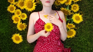 Aleksey Lozgachev Women Brunette Dress Red Clothing Flowers Sunflowers Grass Top View 1280x1920 Wallpaper