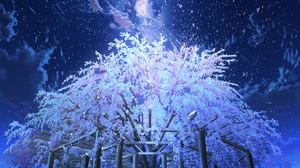 Mocha Cherry Blossom Anime Girls Vertical Sky Flowers Field Looking Up Starry Night Trees Stars Peta 1203x1482 Wallpaper