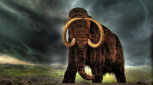 Extinct Giant Mammoth Pliocene Tusk 2560x1410 Wallpaper