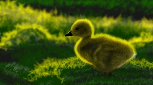 Digital Painting Chickadee Green Yellow Animals 1920x1080 Wallpaper