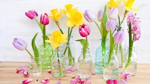 Man Made Flower Colors Colorful Vase Glass Spring Yellow Flower Pink Flower 1920x1256 Wallpaper