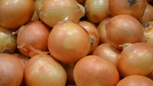 Onion Vegetable Close Up 1920x1200 Wallpaper