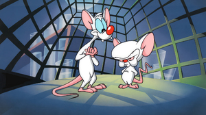 Pinky And The Brain Animation Animated Series Cartoon Mouse Animal Laboratories Cages Warner Brother 1920x1080 wallpaper