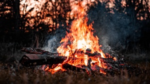 Bonfire Firewood Flame Smoke 2560x1440 Wallpaper