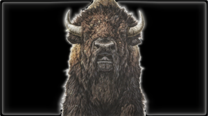 Bison Black Background Animals Mammals Artwork Horns 2844x1600 Wallpaper