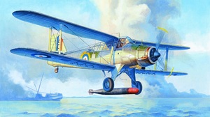World War Ii War Military Aircraft Airplane Military Aircraft British Britain UK Royal Navy Biplane  1880x1200 Wallpaper
