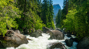 Yosemite National Park Yosemite Valley Yosemite Falls Waterfall River Forest California North Americ 5607x3738 Wallpaper