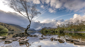 Wales United Kingdom Dead Tree Cloud Water River 2560x1600 Wallpaper