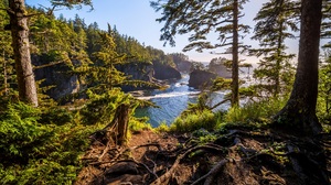 Nature Coast Sea Trees Rock Sky USA Washington Water Cape Flattery 3840x2400 Wallpaper