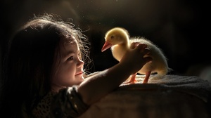 Little Girl Duck Baby Animal Duckling 1920x1281 Wallpaper