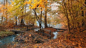 Bridges Fall Leaves River Nature Trees 1920x1200 Wallpaper