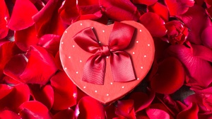 Gift Petal Red Heart Shaped 6000x4000 Wallpaper