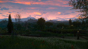 The Witcher 3 Wild Hunt The Witcher 3 Wild Hunt Blood And Wine Nature Video Games Sunset Glow Trees  3840x2160 Wallpaper