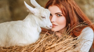 Women Model Redhead Looking At Viewer Animals Mammals Baby Animals Goats Goat 2560x1767 Wallpaper