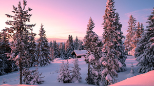 Nature Winter Sunset Snow Trees Sky 2048x1365 Wallpaper