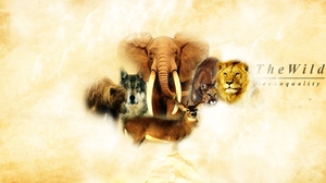 Bear Cougar Deer Elephant Lion Wolf 1800x900 Wallpaper