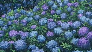 Potg Anime Girls Vertical Illustration Hydrangea Flowers Rain Umbrella Field Women With Umbrella Wom 1013x1433 Wallpaper