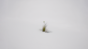 Ai Art Snow Winter Grass Minimalism Simple Background 3640x2048 Wallpaper