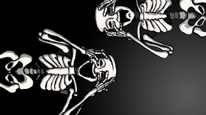Skeleton Bones 1920x1242 Wallpaper