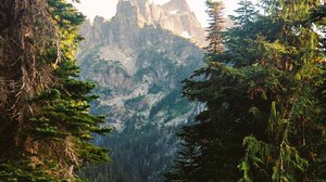 Forest Trees Pine Trees Mountains Nature Landscape Lake Vertical Portrait Display 1372x2048 Wallpaper