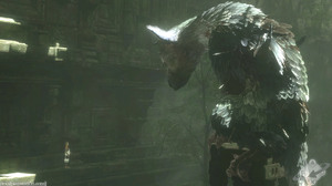 Video Game The Last Guardian 1920x1080 Wallpaper